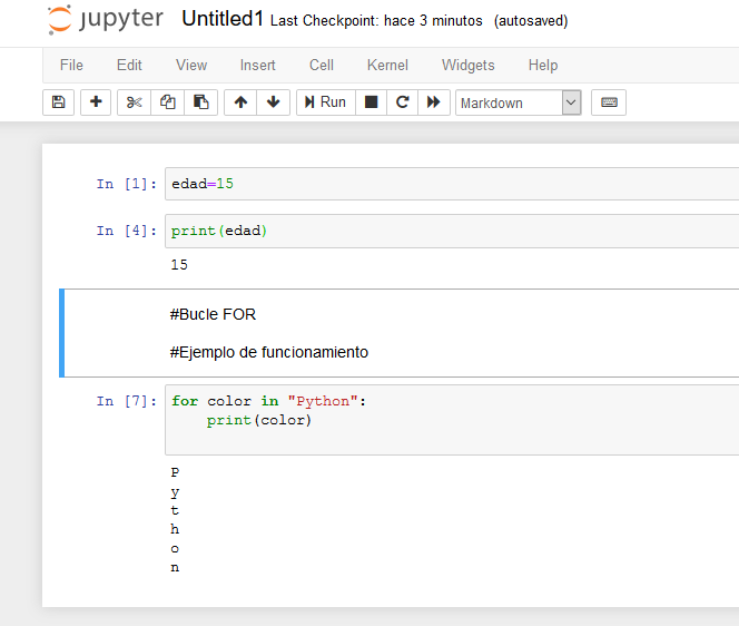 Jupyter notebook